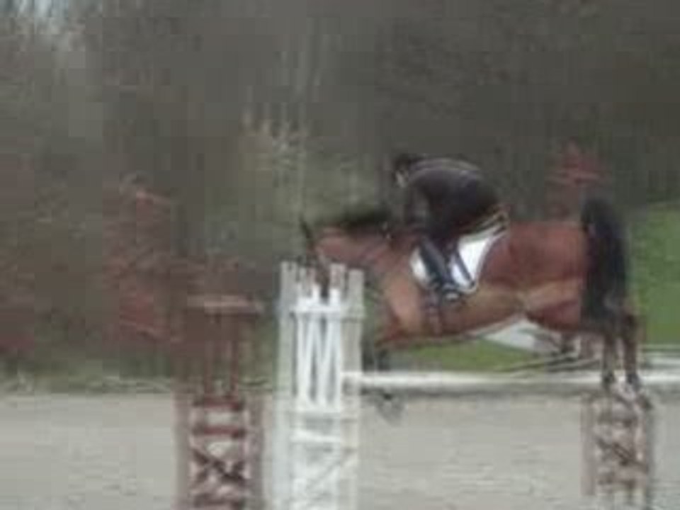 CSO Entrainement Noël 21-12-2008