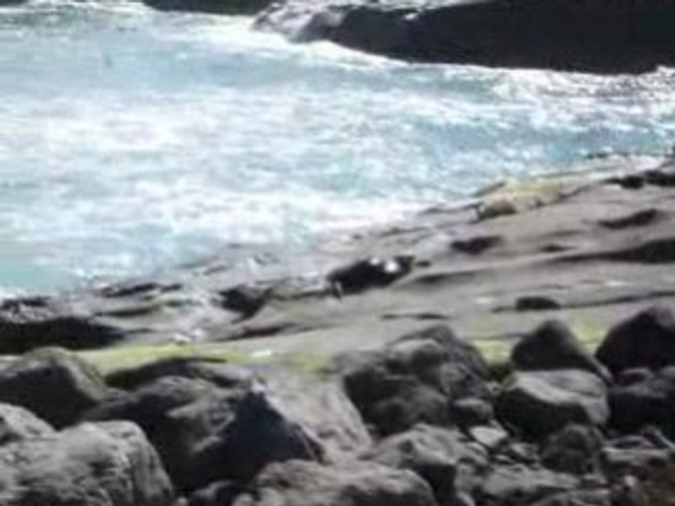 P1120591