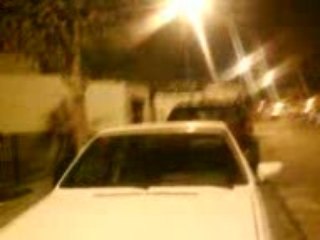 gato rompe en techo de coche