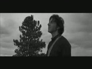 High Tone - Echo-Logik