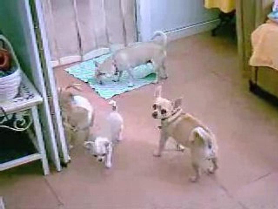 Mes vidéos\IM000789