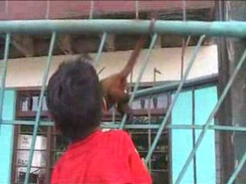 Singe domestiqué par un enfant
