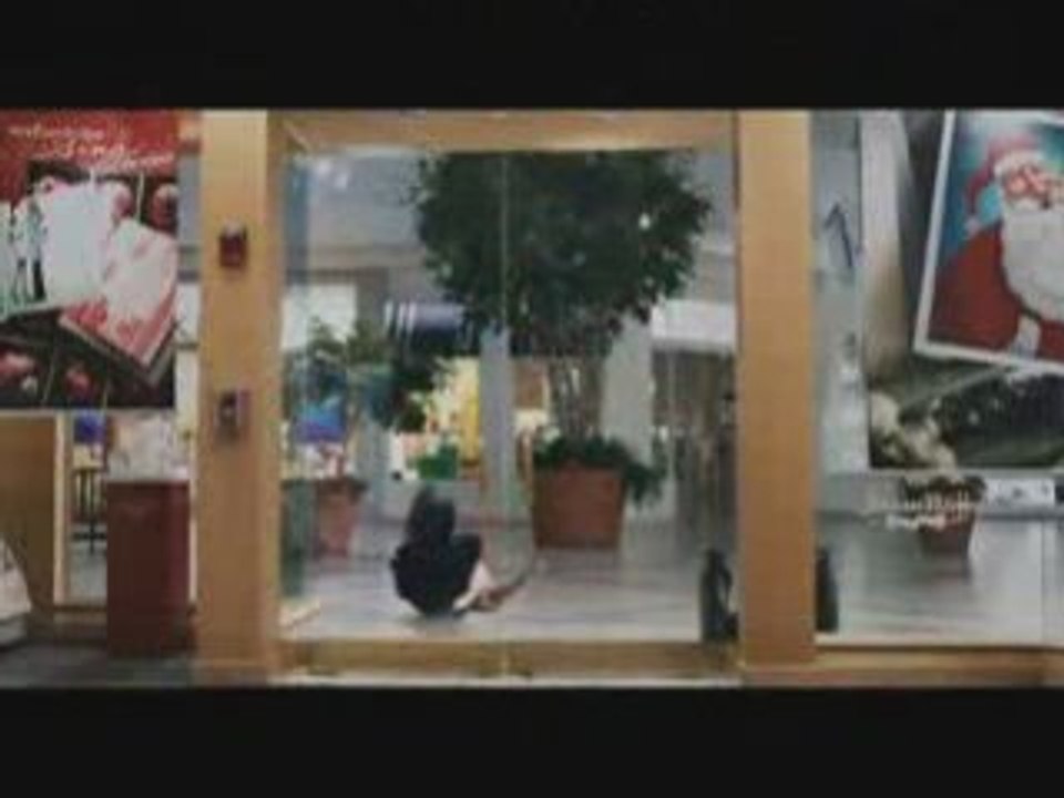 Paul Blart: Mall Cop