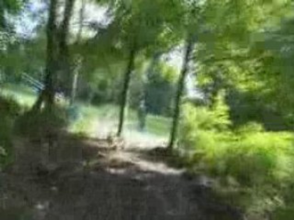 [MTB] Wisp Resort Downhill Course [Goodspeed]