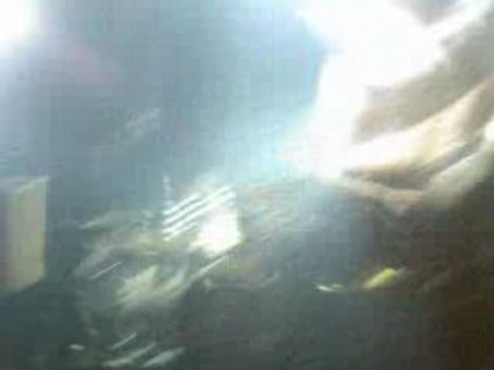 Second Sex concert - Fille facile