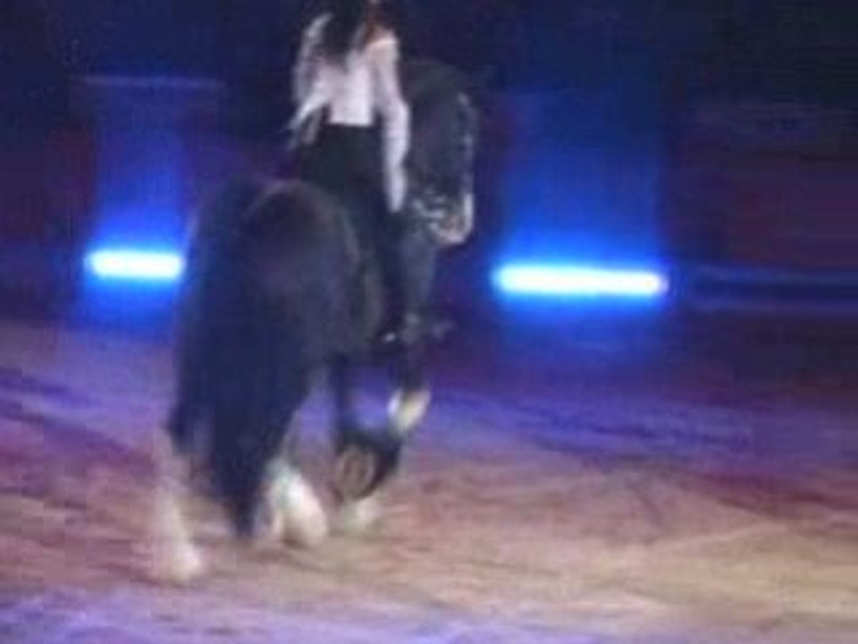 Tandems dressage Cheval passion 09