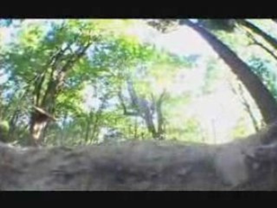 [MTB] FREERIDE with All the Choice [Goodspeed]