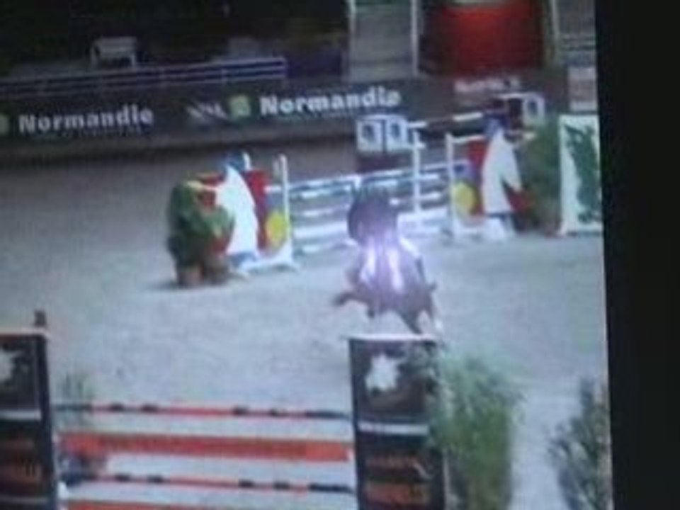 Noix de coco Domain 2008
