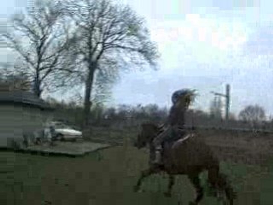 Ma fam & ma jument de 3ans