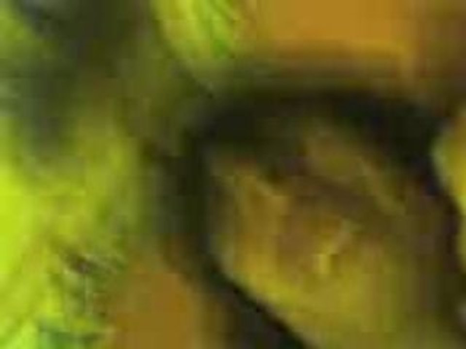 Conneries entre cousins