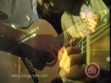 Ellis Custom Acoustic Guitars played by Dave Mann