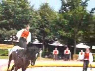 Voltige jockey, août 2008