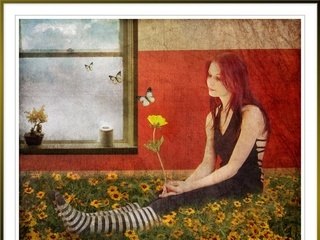 Elle écoute pousser les fleurs(Francis Cabrel)