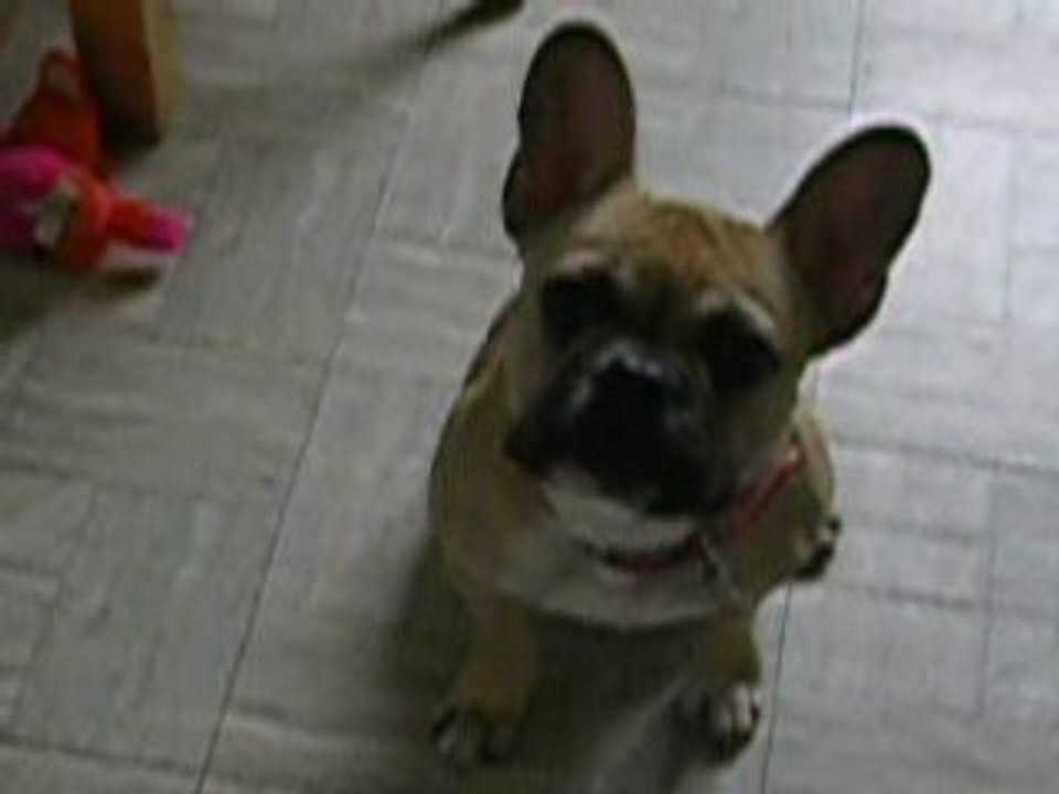 DSCN2826