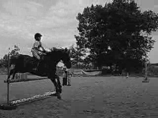 Luisant de thouaré & moi