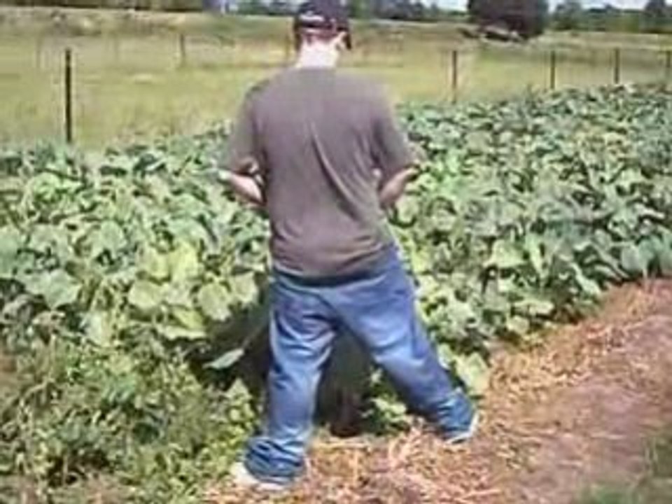 Journée 13 juillet 2008 avec les Smecta Boby's