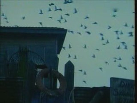 YENİ TÜRKÜ - BANA BİR MASAL ANLAT BABA