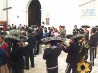33 Musicien de mariage en noir a Sucre