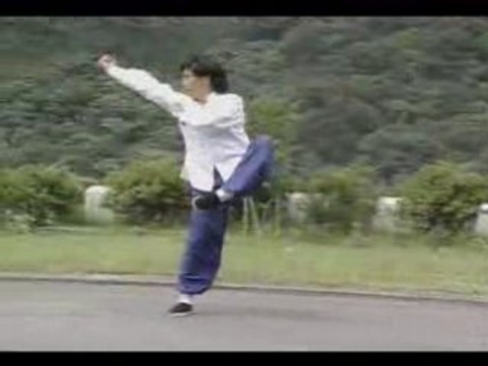 Gongli-quan Taolu Kung-Fu