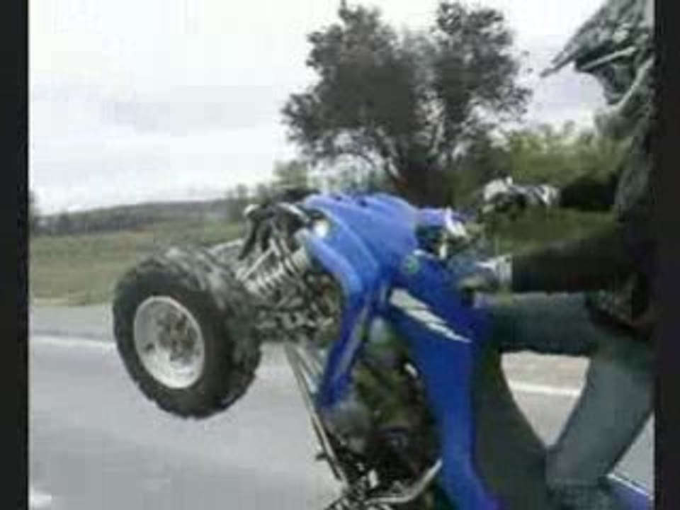 video quad dindon