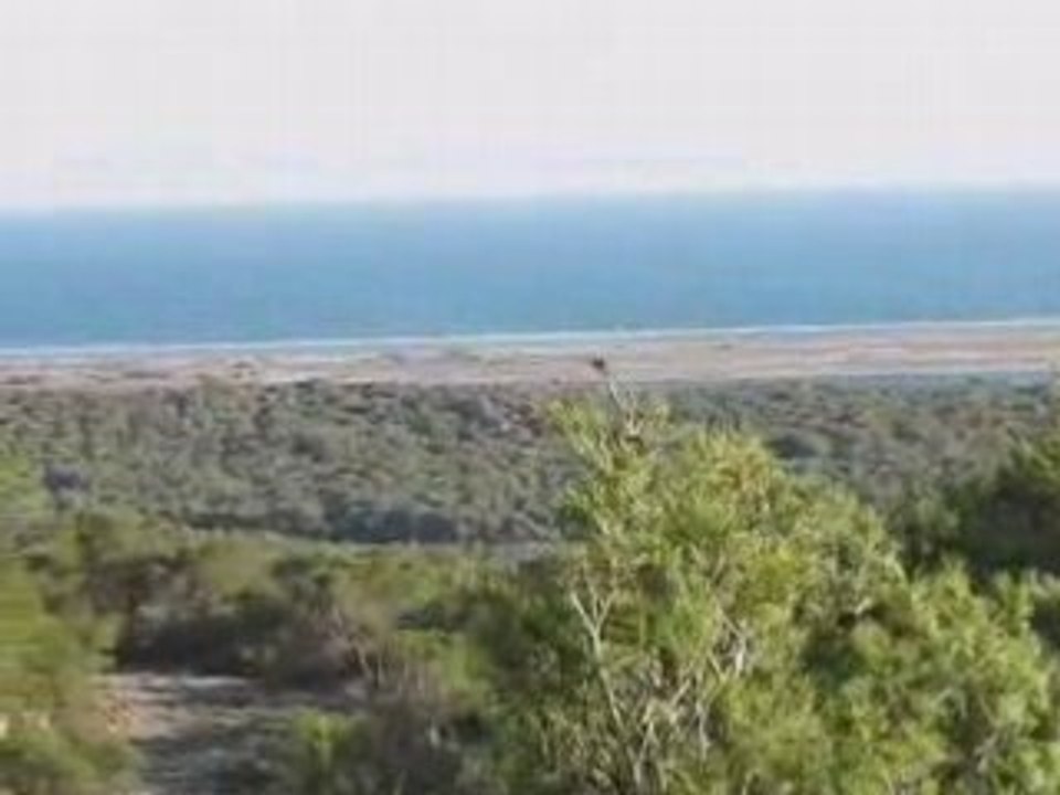 Gruissan