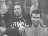 WWE : nWo desire