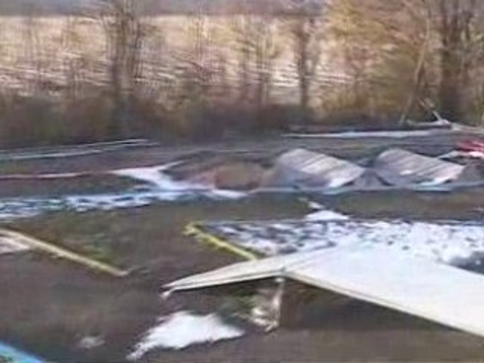 Brushless flying
