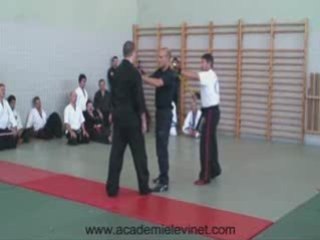 CANNE DEFENSE JACQUES LEVINET (CDJL) Part 5