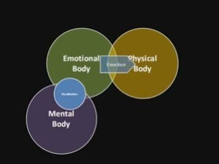 The Secret Law of Attraction In The Human Aura Energy Field