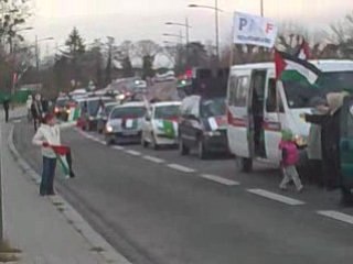 manifestation pour la palestine strasbourg