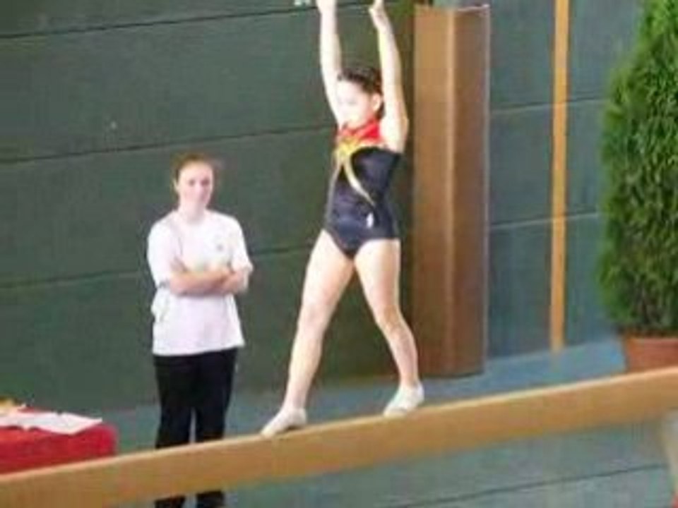gym poutre