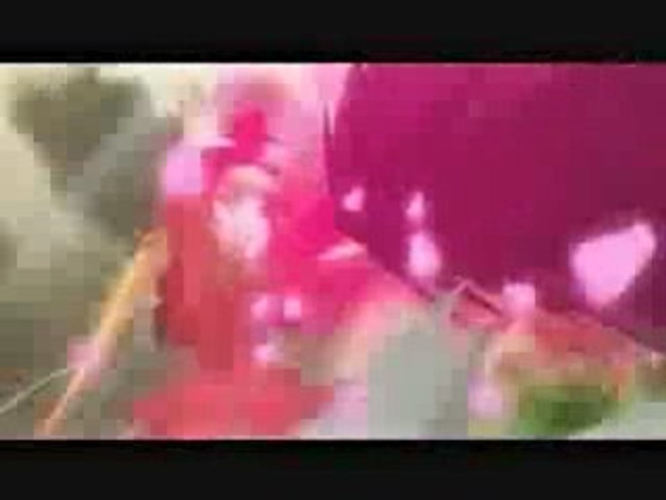 Battle of Rose(Rozen Maiden)