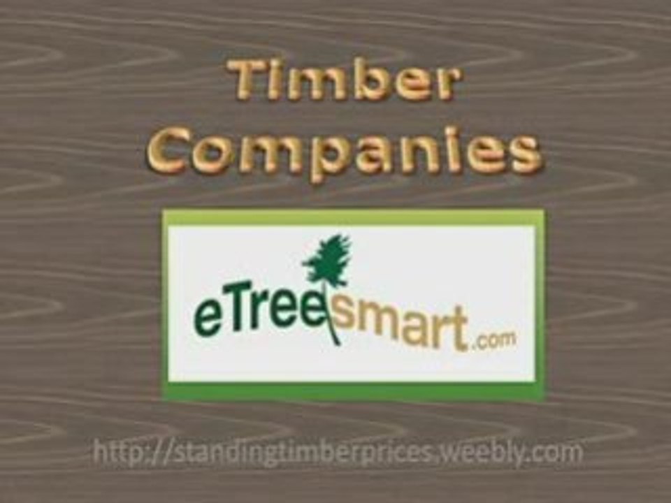 timber companies