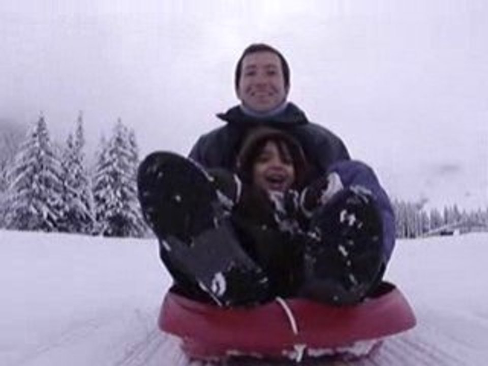 luge II