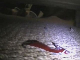 Paula découvre la ferme