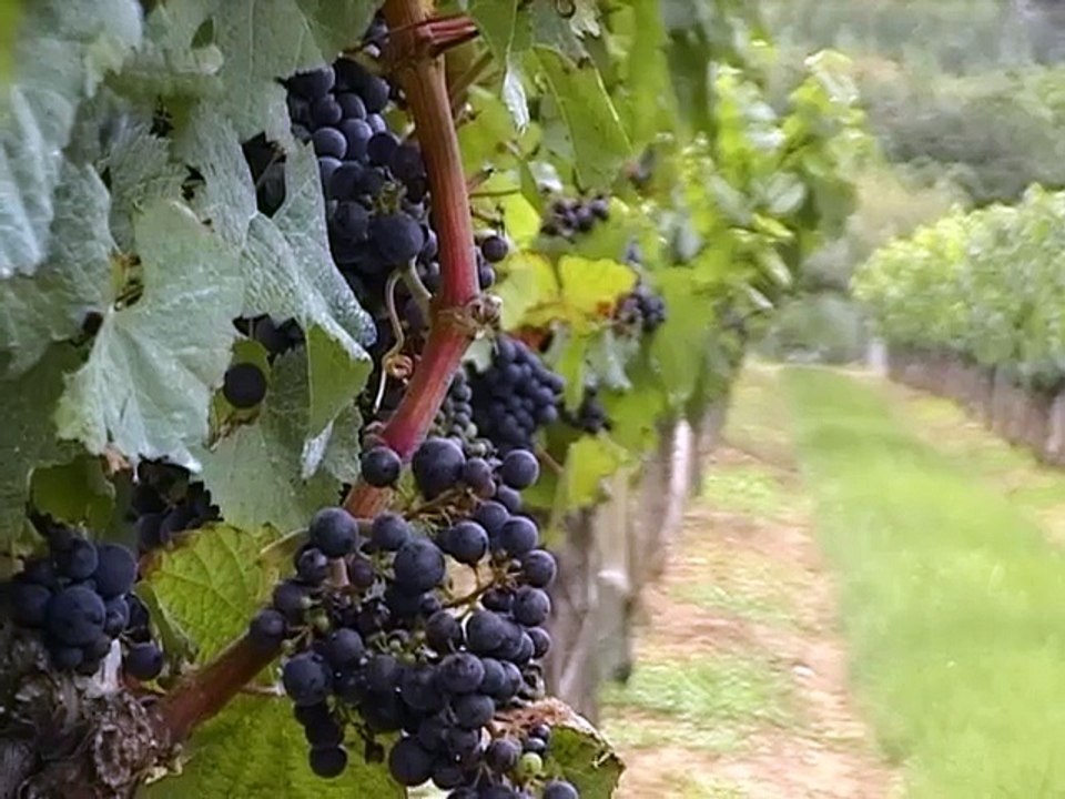 La vallée de cahors