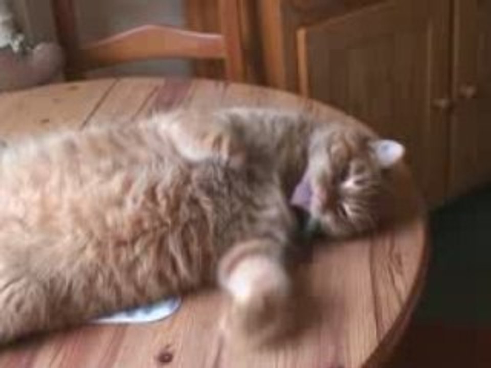 Pixou cool sur la table