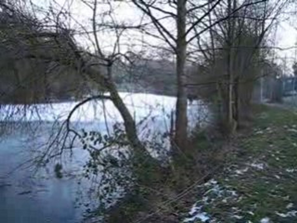 MVI_8967