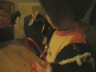 Paula découvre la ferme - suite