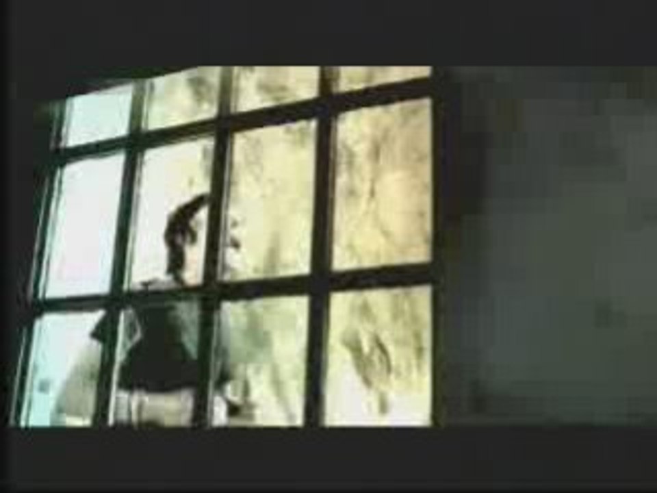 try honesty chipmunk