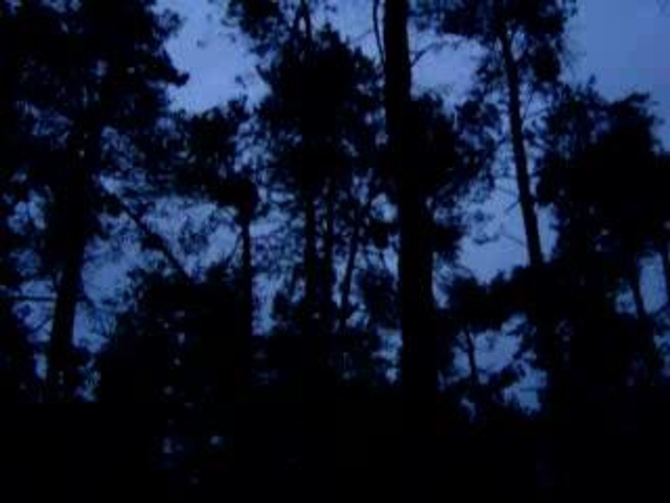 MOV07437