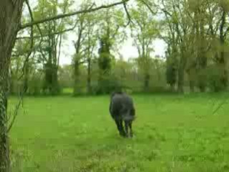 Gùàm Qùî Sàùte Le Fôssé