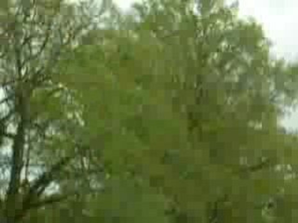 Les 3 Qùî GàlÔpe SîncrÔ