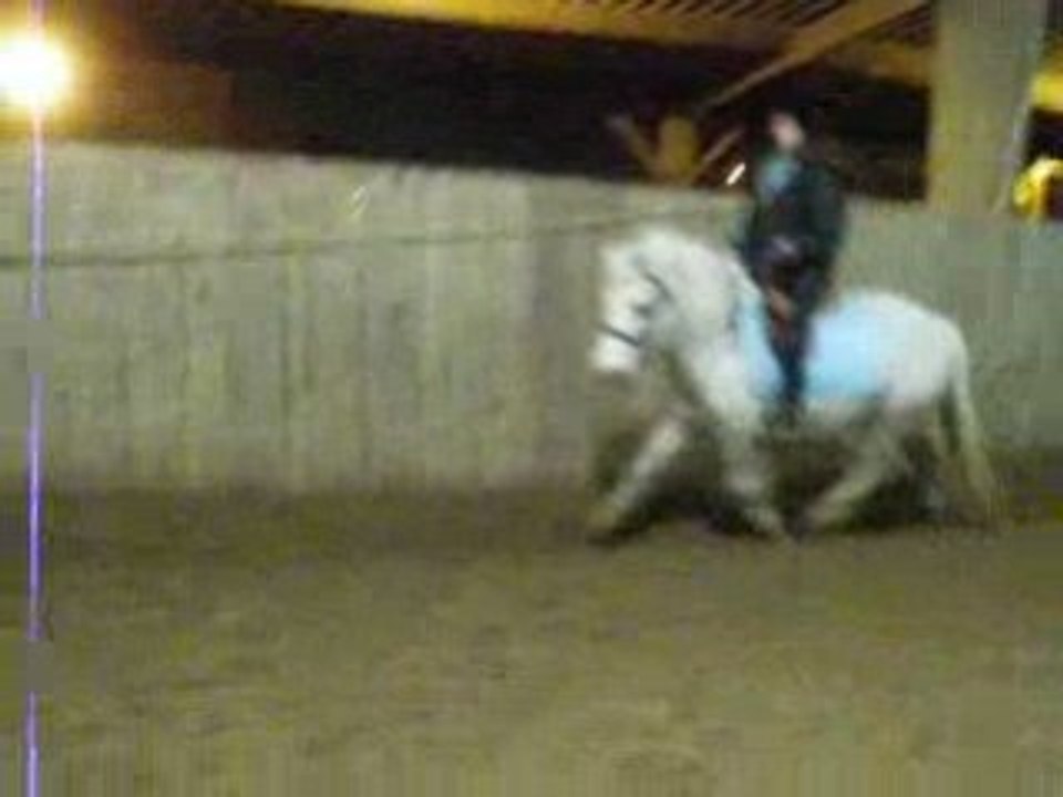 Saut Vendredi 24 01 ( petit gris )