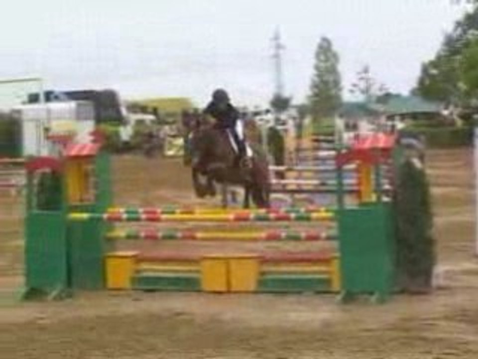 Narcisse champagne gp115m