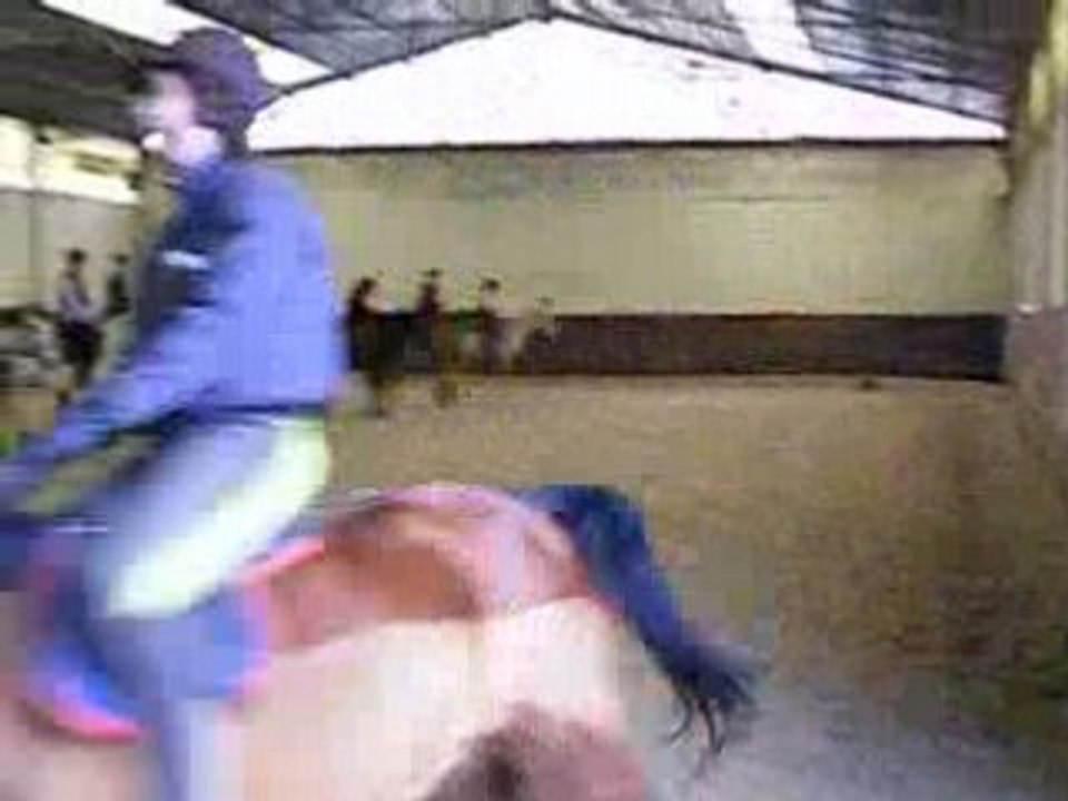 Hanne et Moi - Ou Comment se faire embarquer par une ponette