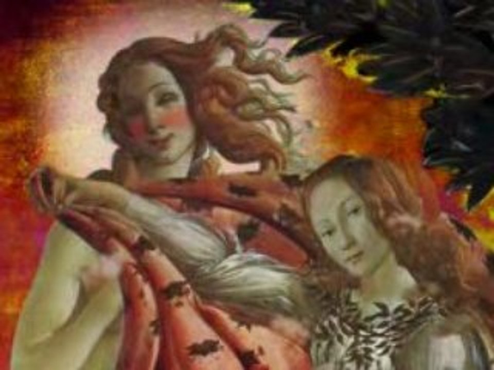 Venus Beauty