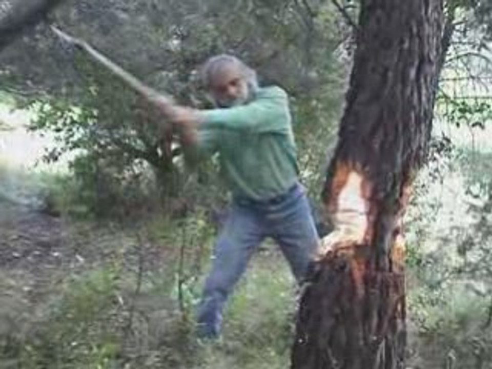 Arbre de mai - Varages 2007