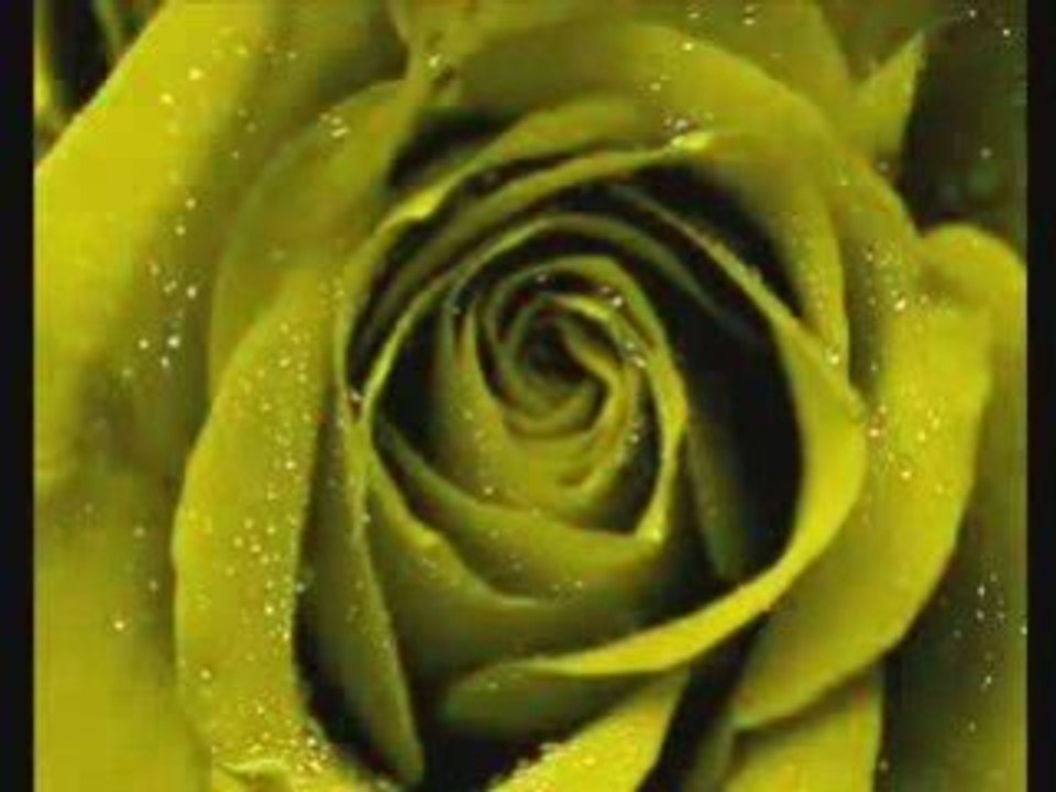 Maman... par le groupe    Le-Rappel