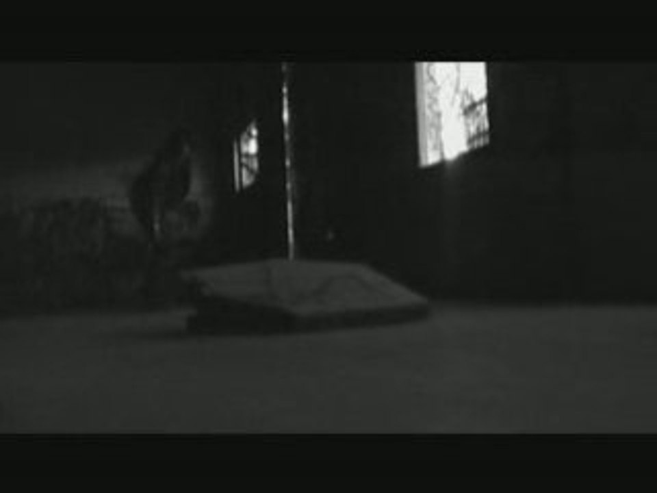 cat-skateboard new spot